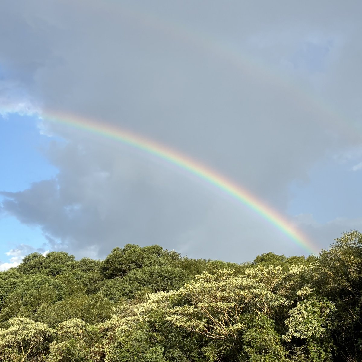 Gusberpf1986 tweet media