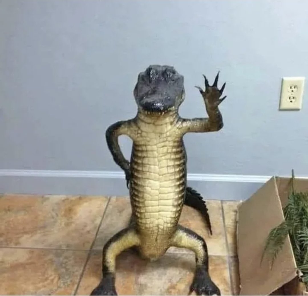 Radical Edward tweet media