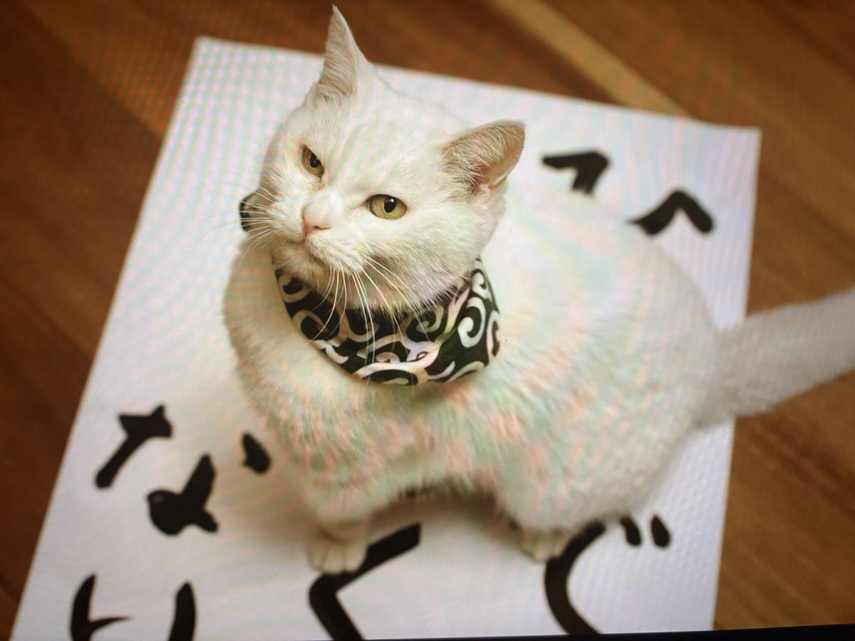 カレー沢　薫 tweet media