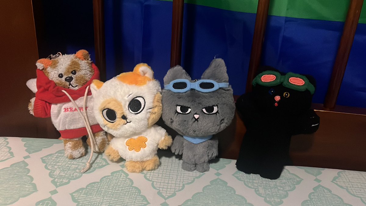 Nico 🌱 tweet media