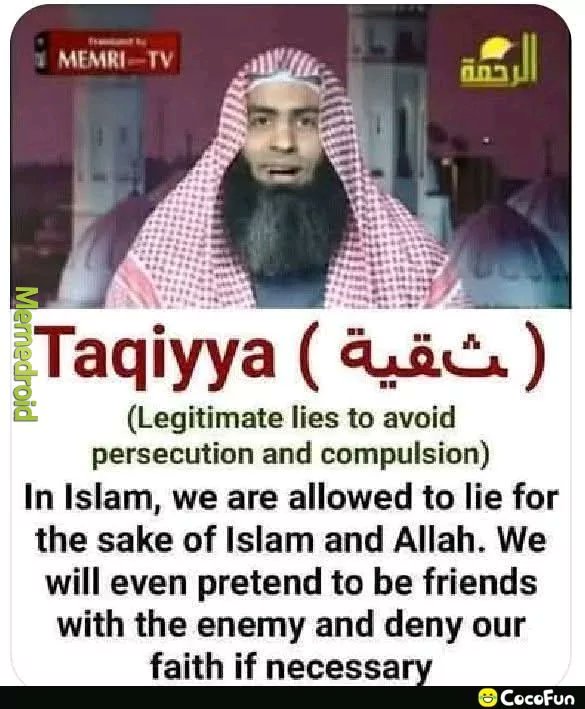 Abygrey@smcdao(Lixoncrypto) tweet media