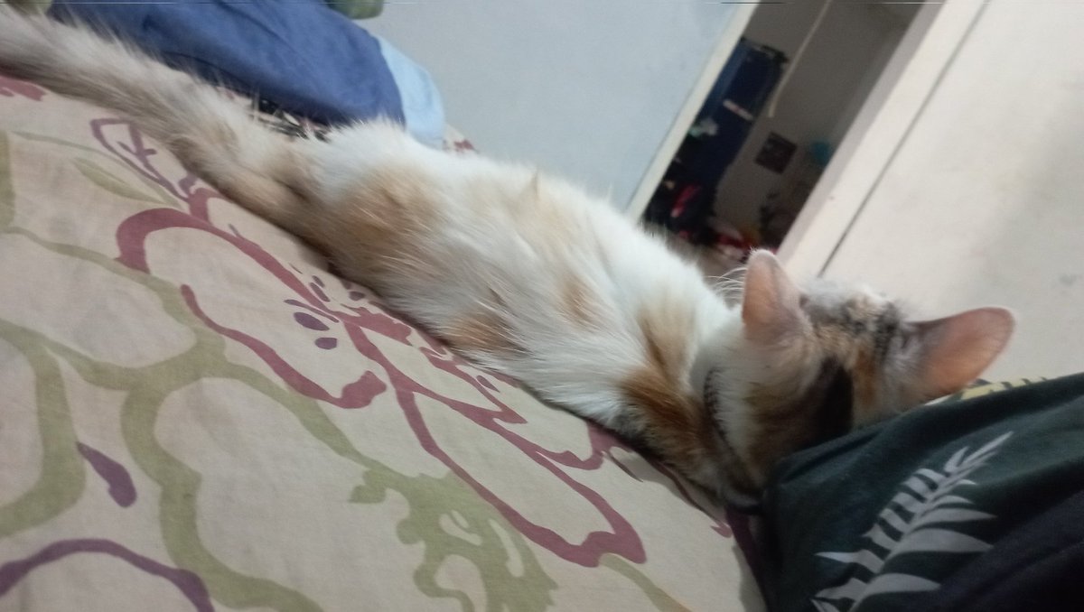 wabiSHABi tweet media