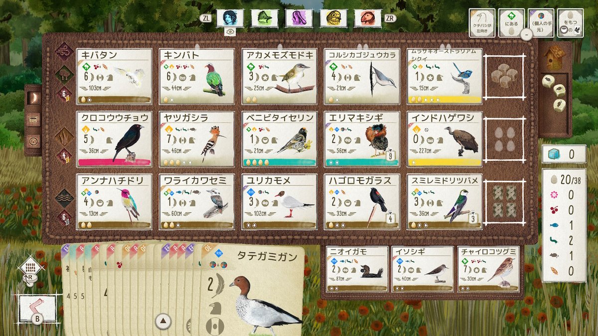 花伝 🌺📺️ ロードランナー tweet media