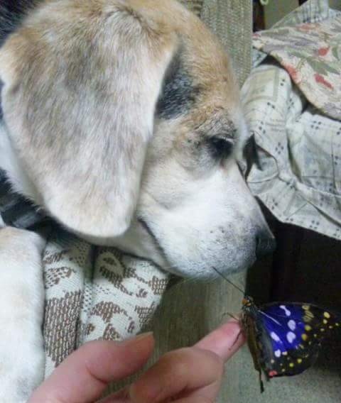 Ohムラサキイモイモ🍉 tweet media