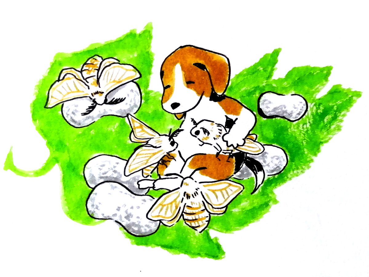 Ohムラサキイモイモ🍉 tweet media