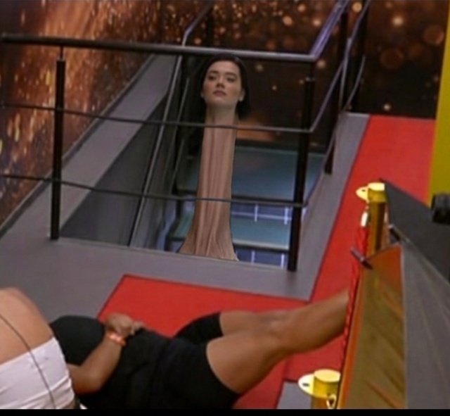 Xandy Lima tweet media