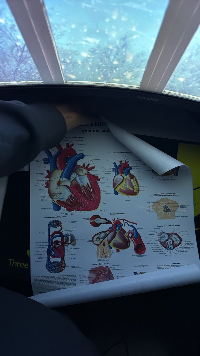 RN | Ibrahim tweet media