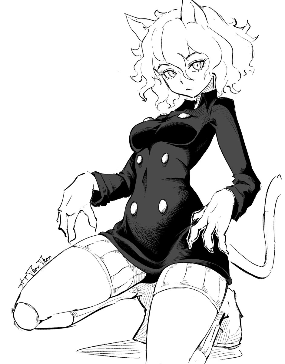 Thin92669910971's tweet image. #Pitou #hunterxhunter