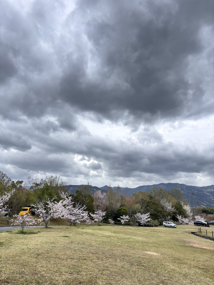 バイン tweet media