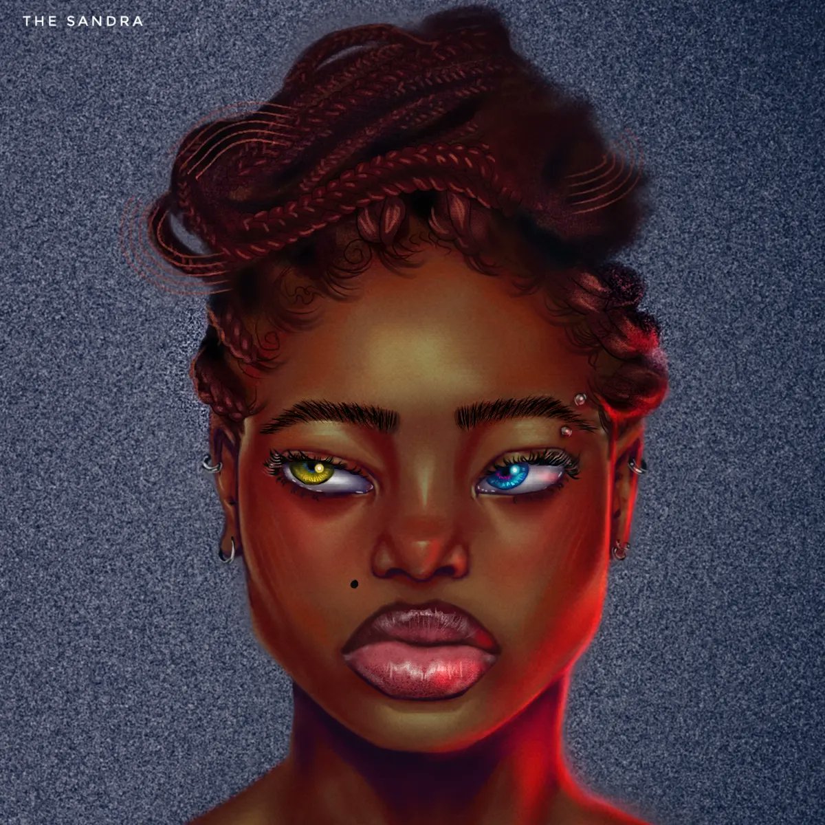 The Sandra tweet media