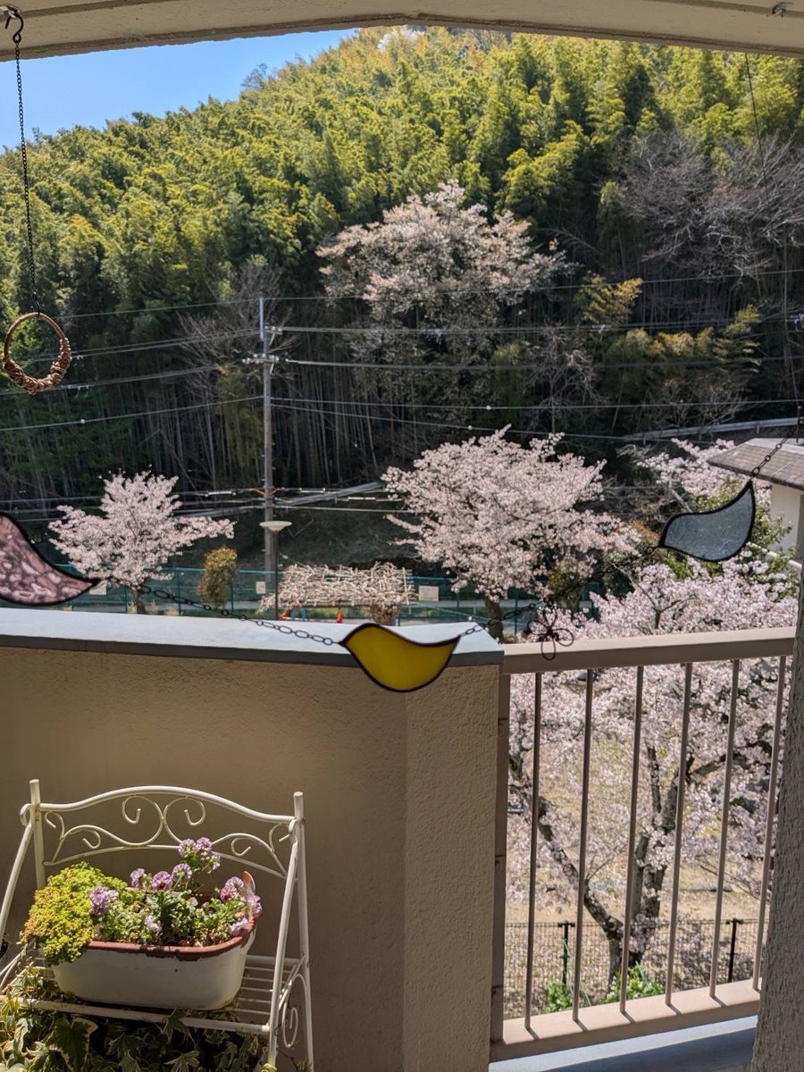 エクラベリー✨Glass Artist NAOMI tweet media