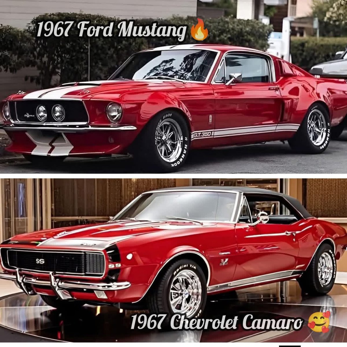 Texas 🇺🇸 tweet media