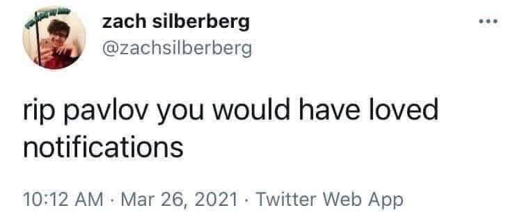 Rothmus 🏴 tweet media