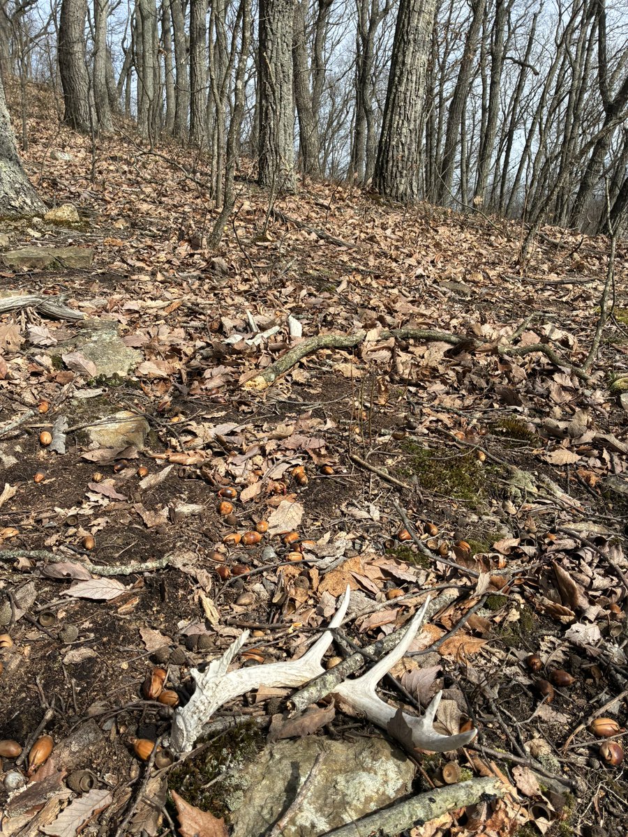 Dwayne Mathews tweet media