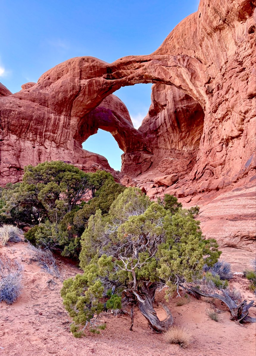 D Miller tweet media