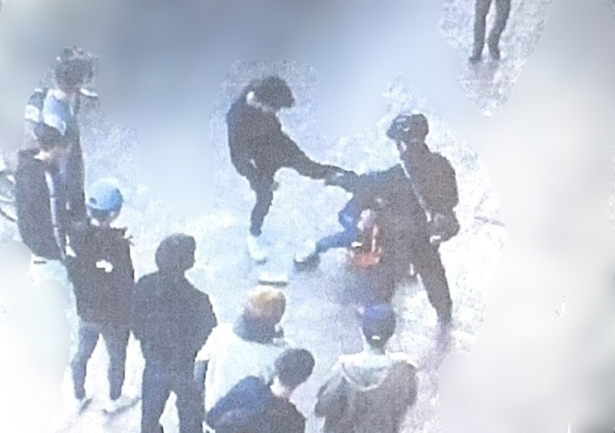 あおい みゆ tweet media