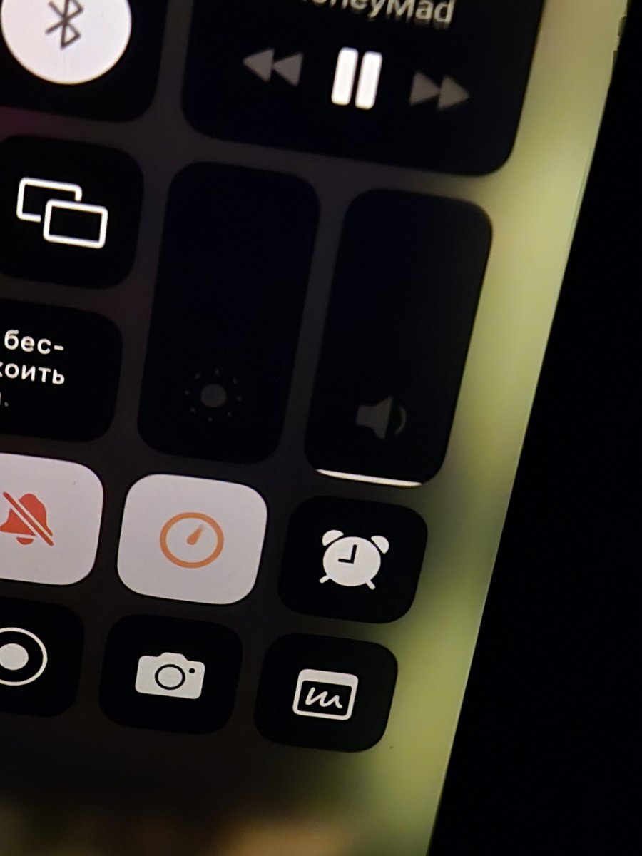 биполярная сова tweet media