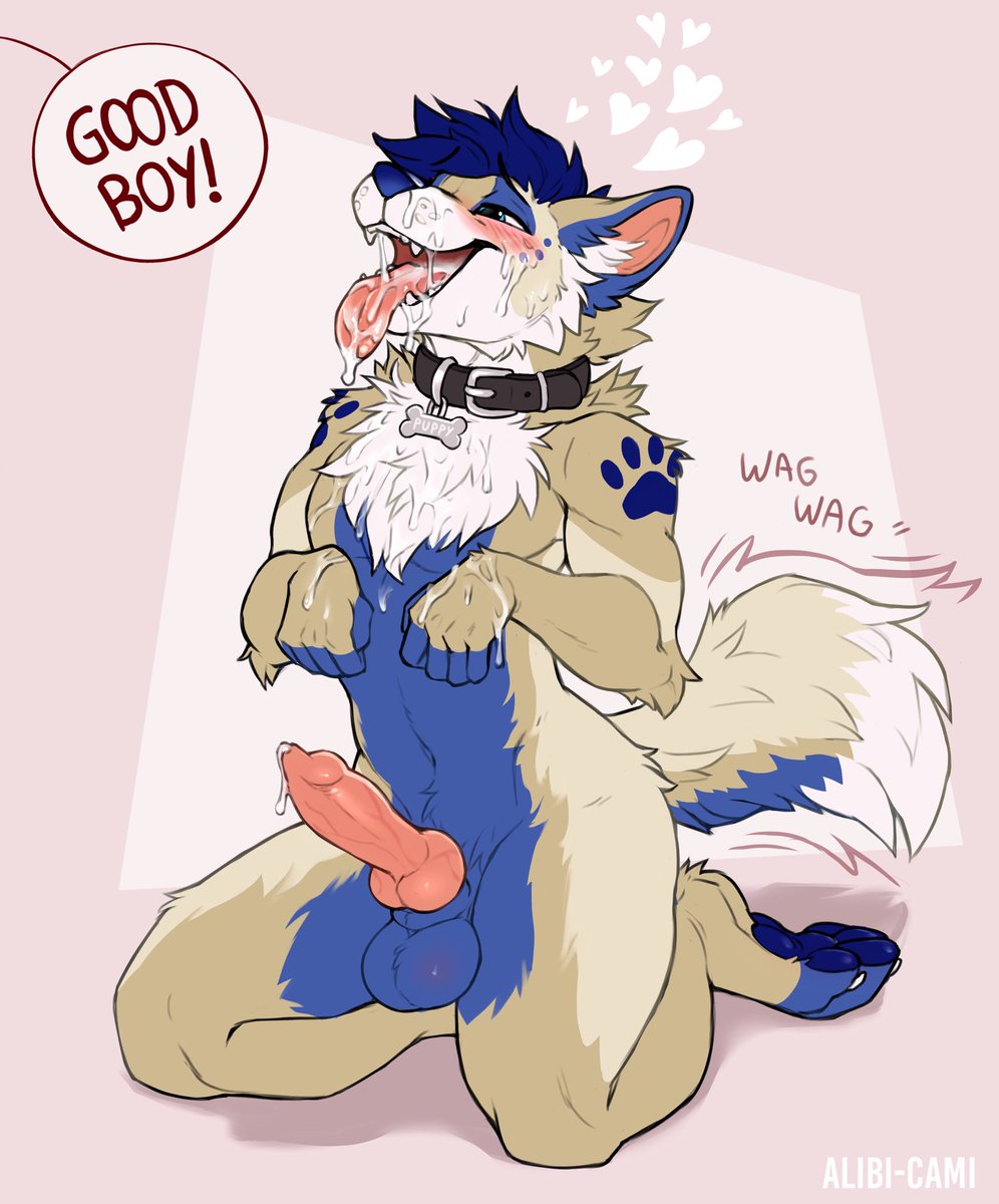 Xenon Behaves Badly ➡️ FWA tweet media