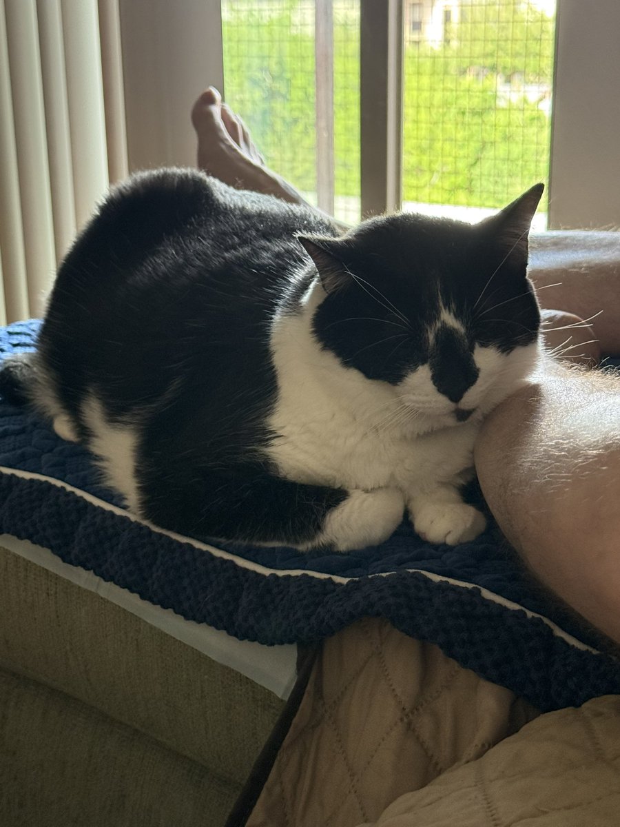 🐣🐇 Duchess of Bunnies 🐇🐣 tweet media