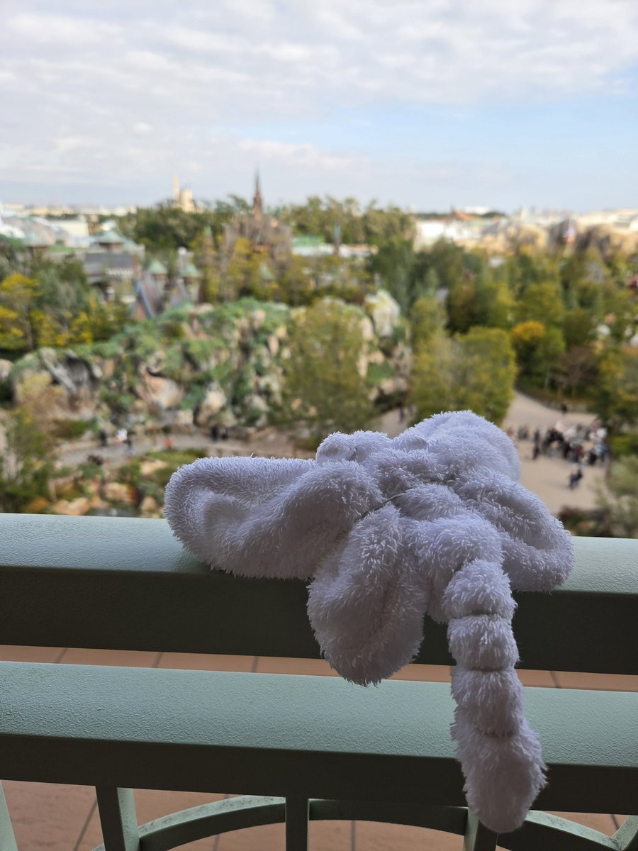 菊の魔術師　Japan tweet media