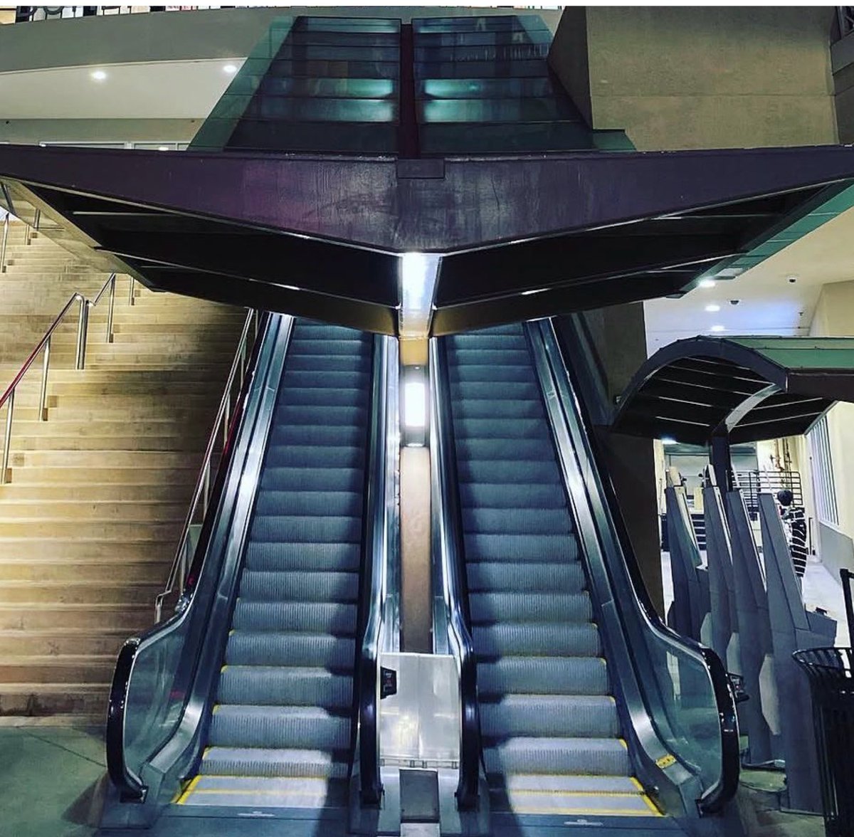 Americana at Brand Memes tweet media