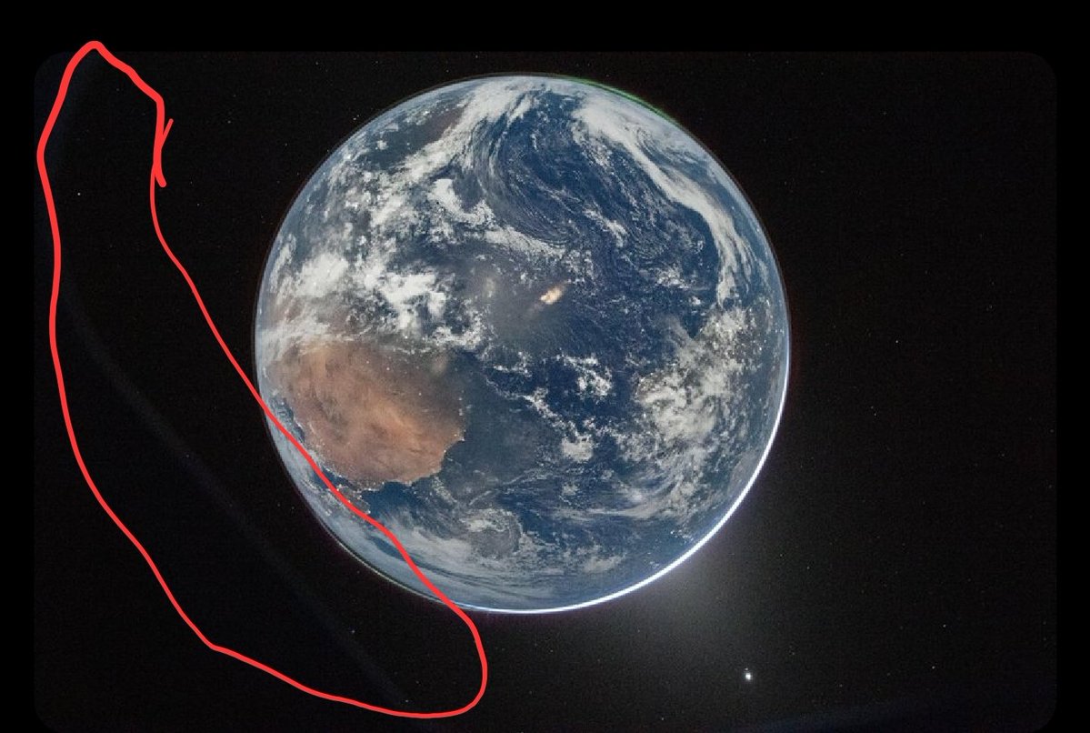 🜃PeterPumpkinEater69AFC tweet media