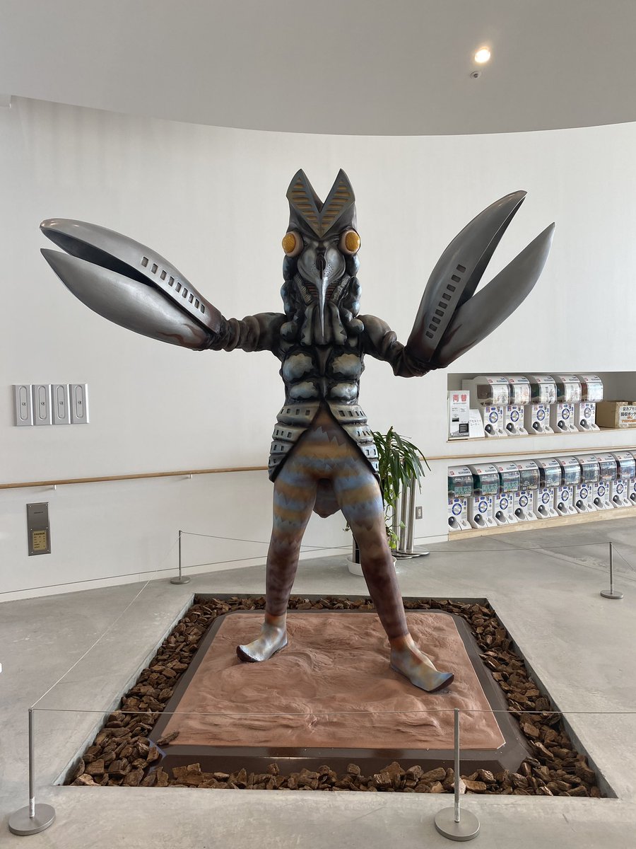 高橋裕行 tweet media