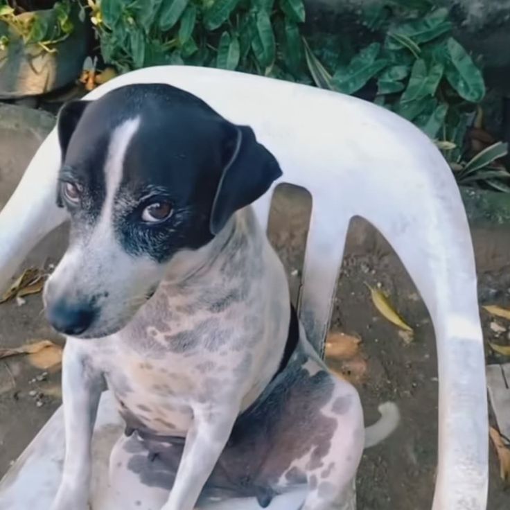 - Letícia acabou com o relacionamento dela quando escolheu o namorado