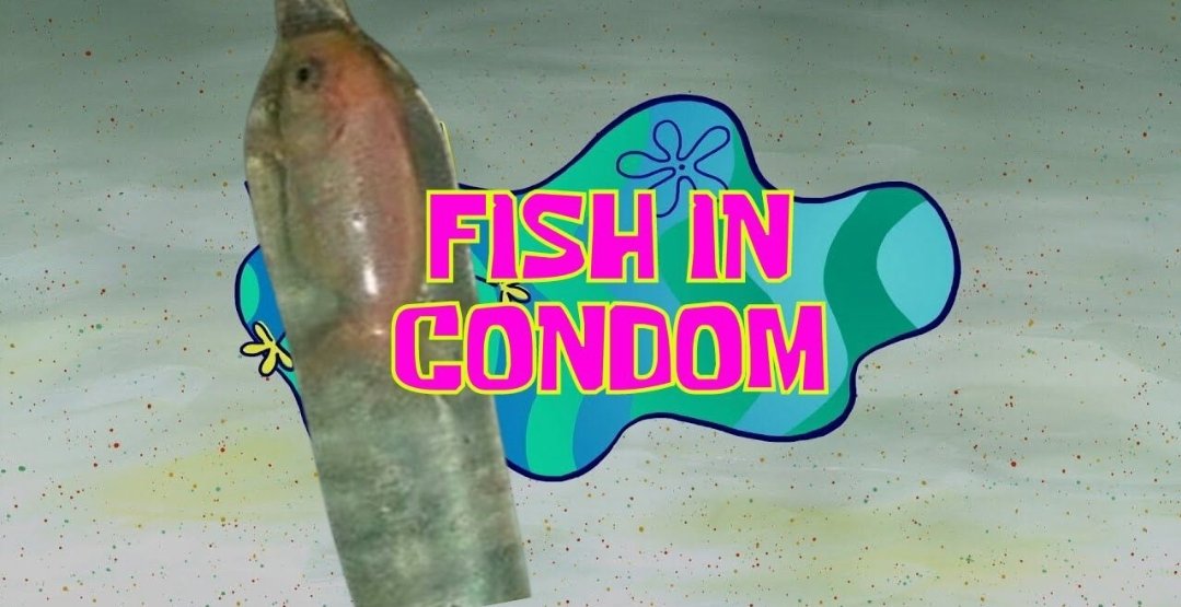 TEĐ BUNĐLE tweet media