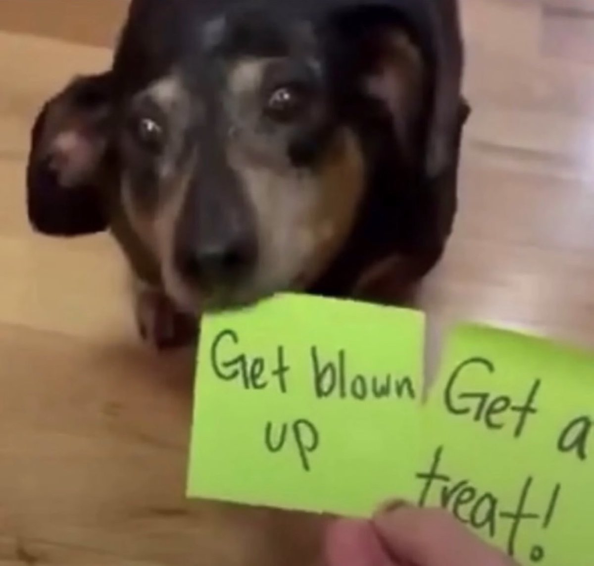 (Naleśnik) 🚩🔻🌻⚒️🥞 tweet media