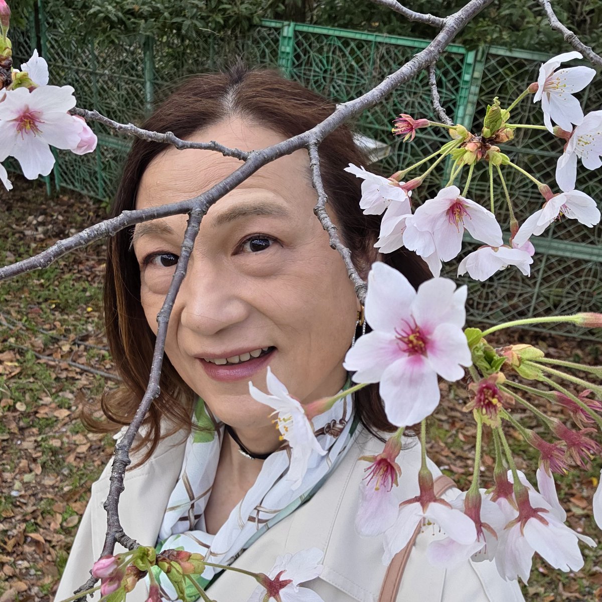 秋山　恵（けい）♂ tweet media