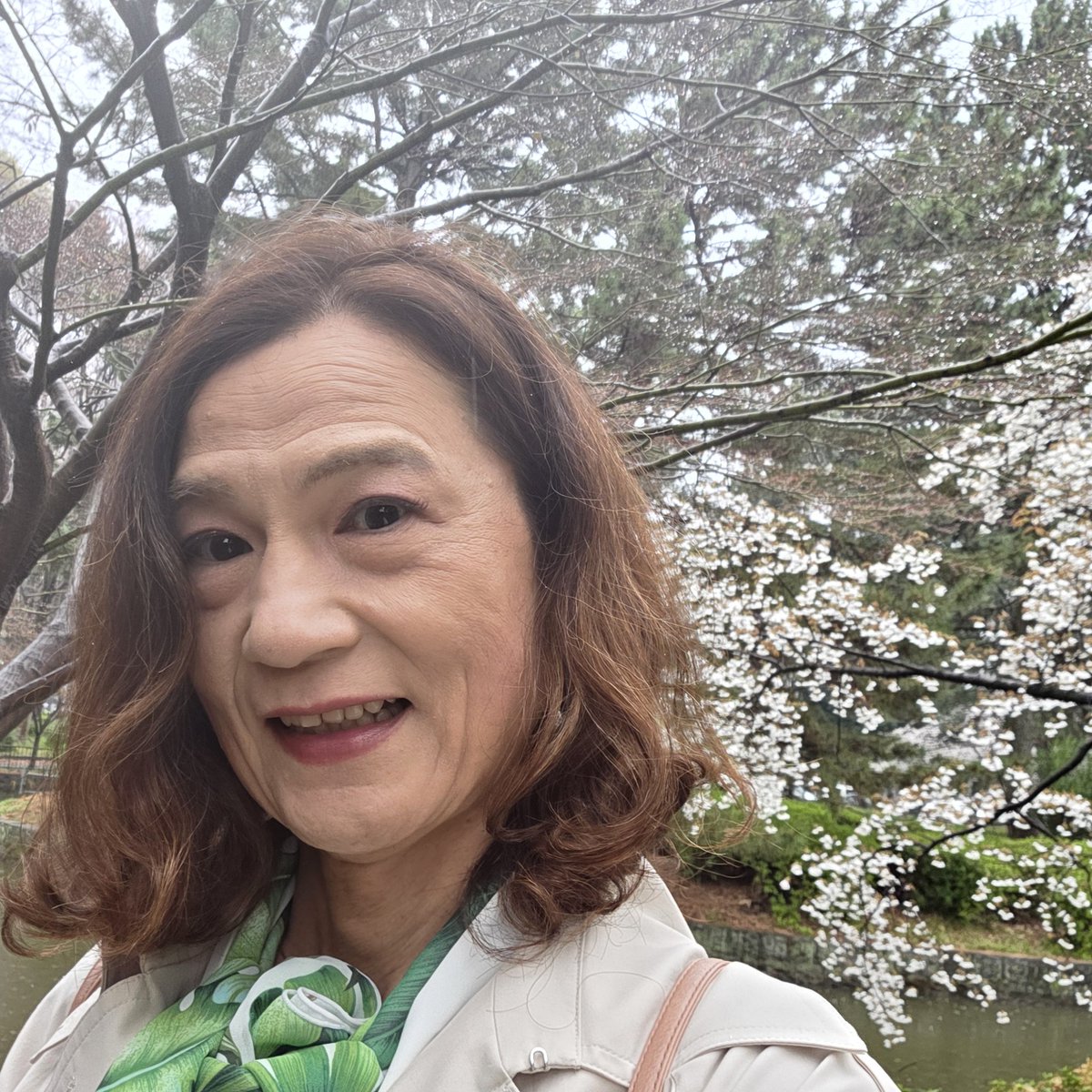 秋山　恵（けい）♂ tweet media