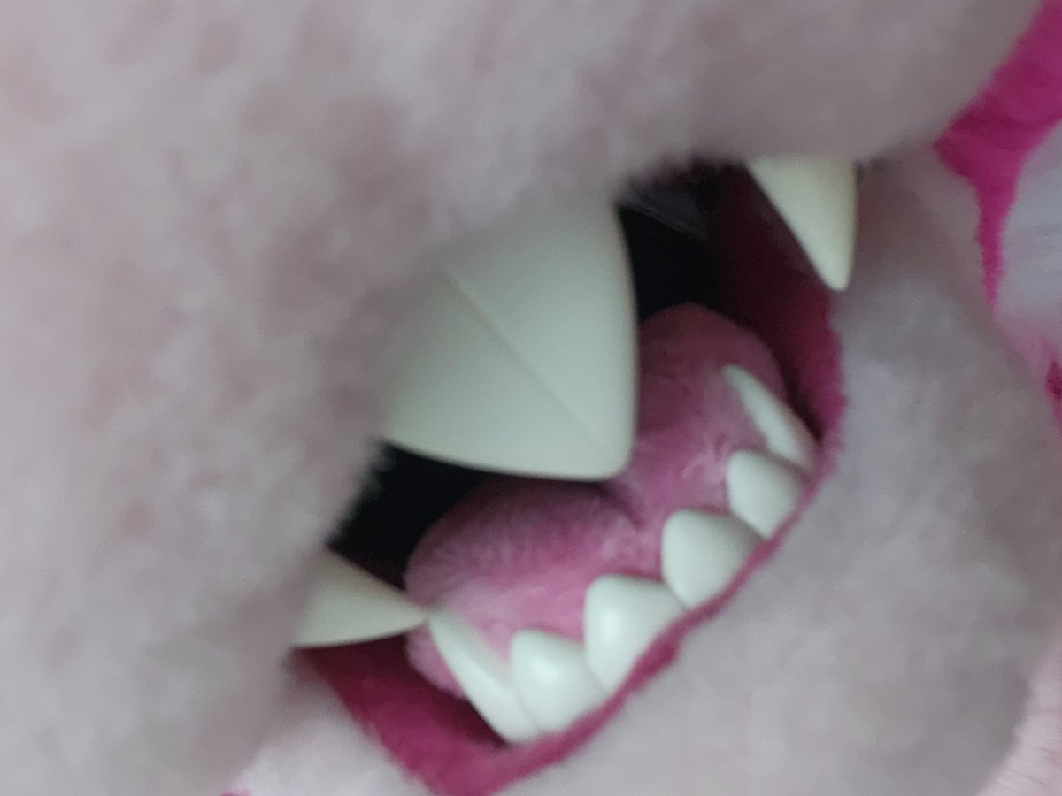 Andrew Fenbit tweet media