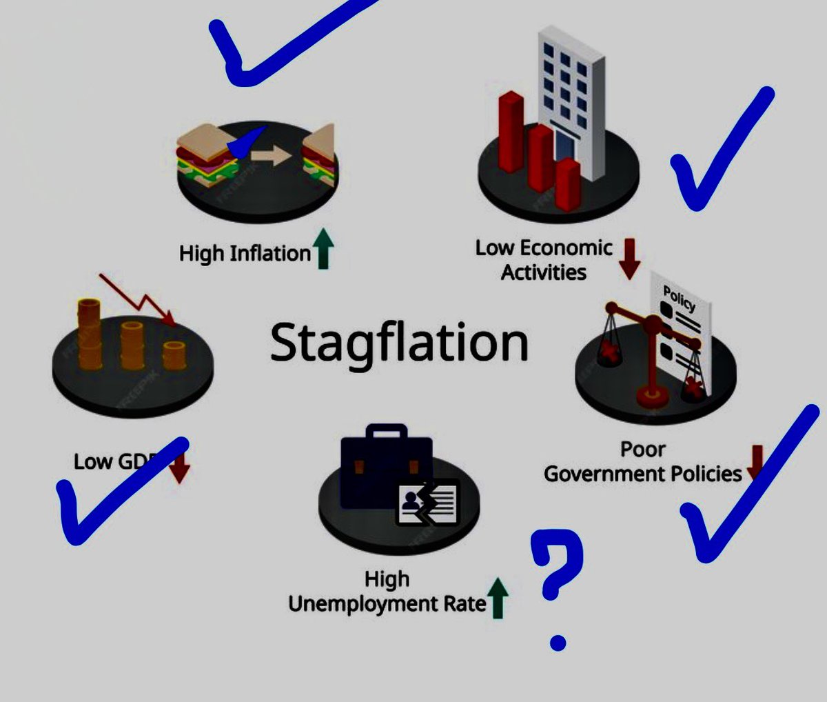 The Great Martis tweet media