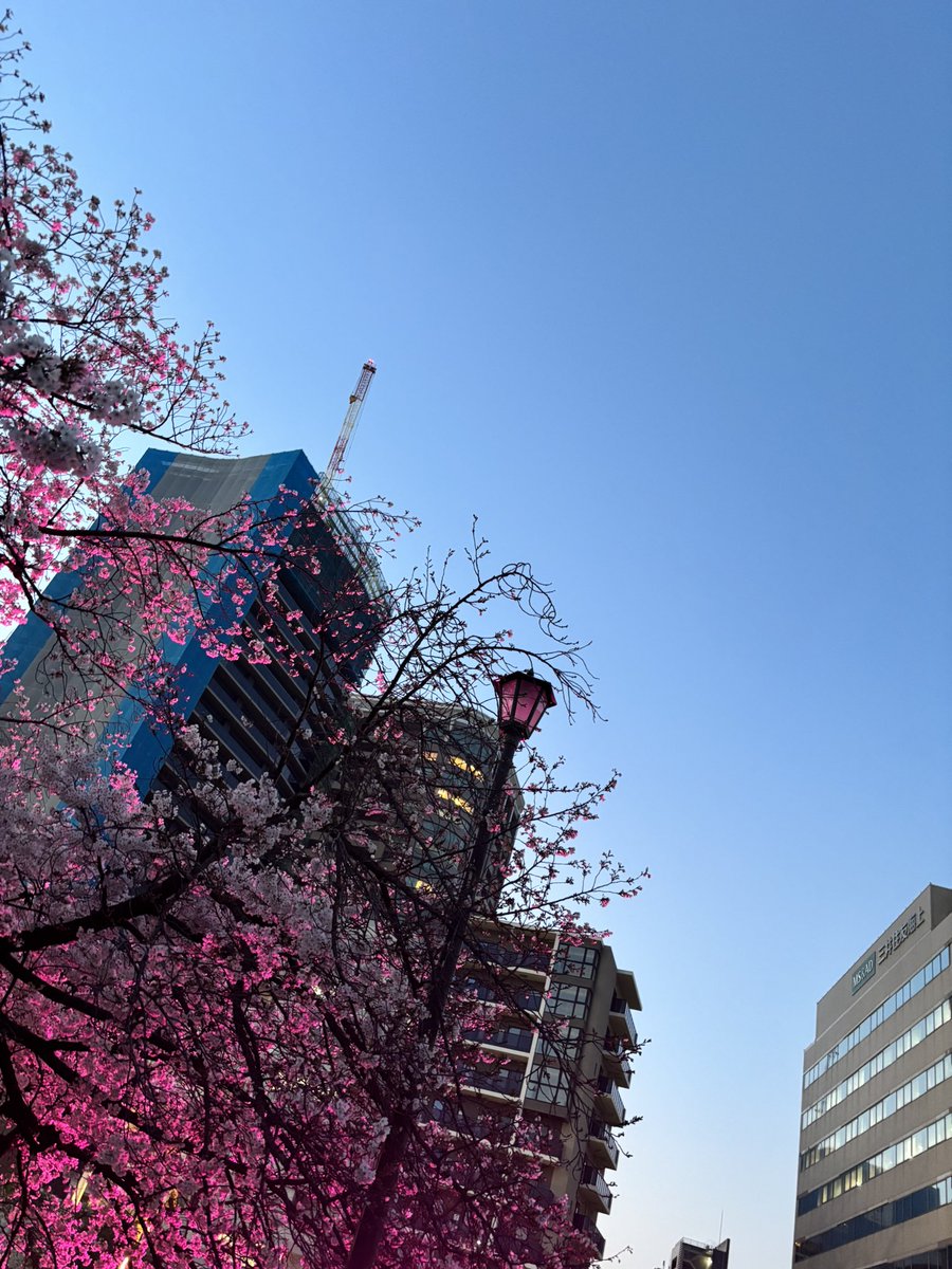 東雲るい tweet media