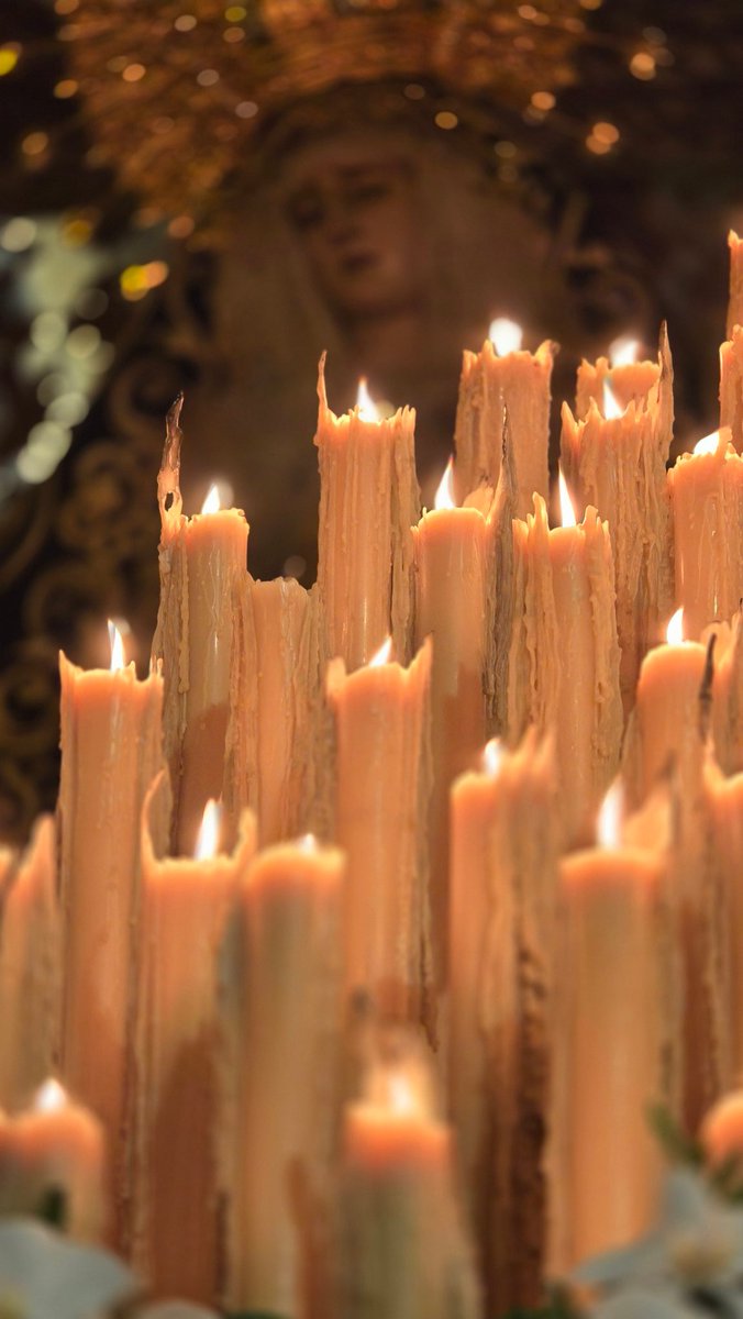 Hdad. Soledad Jerez tweet media