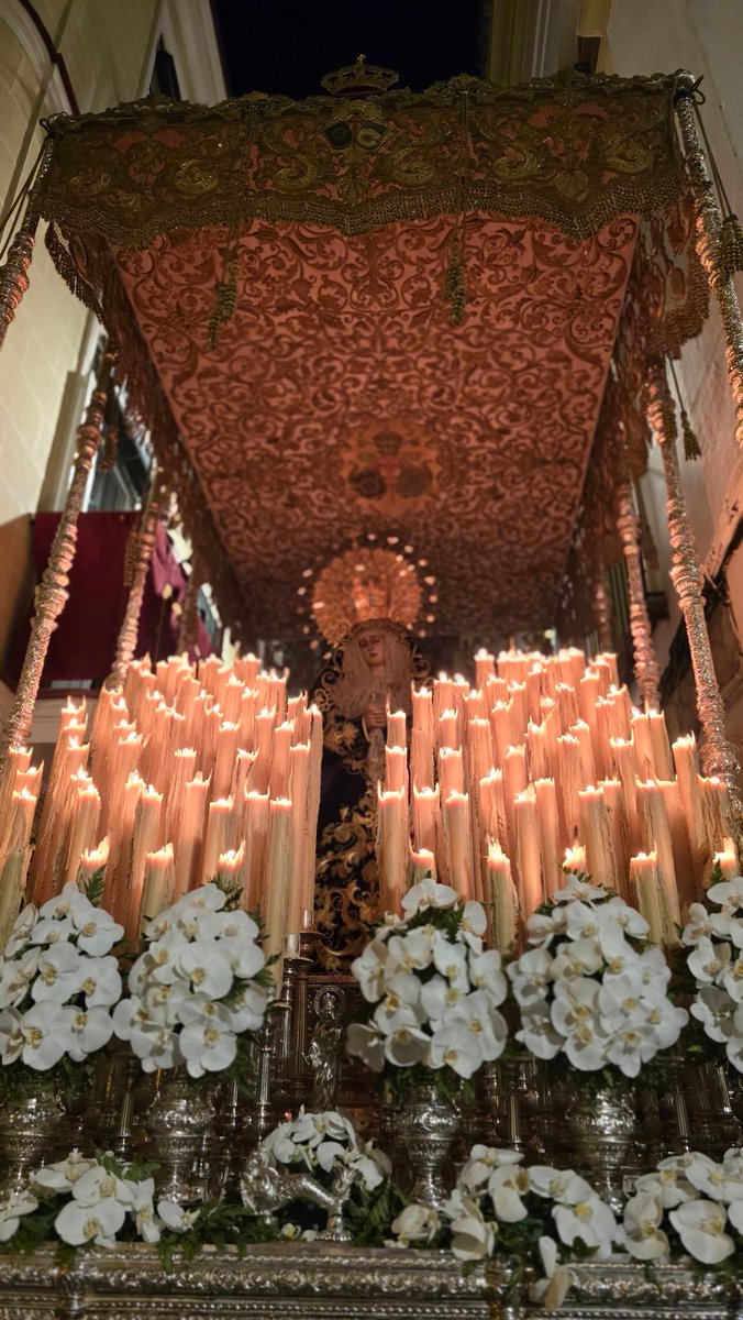 Hdad. Soledad Jerez tweet media