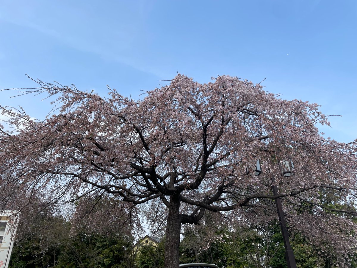 みぃな｜ゆったり在宅ワークのすすめ tweet media