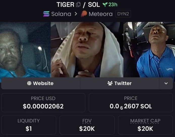 SolanaPrincess tweet media