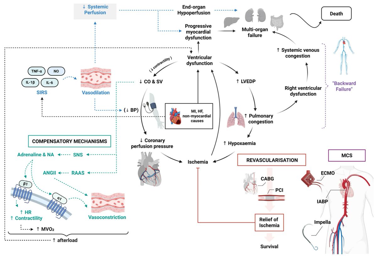 Cardiogenic Shock: Clinical Management, Outcomes and Future Directions 

CCR Journal Watch
criticalcarereviews.com/latest-evidenc…