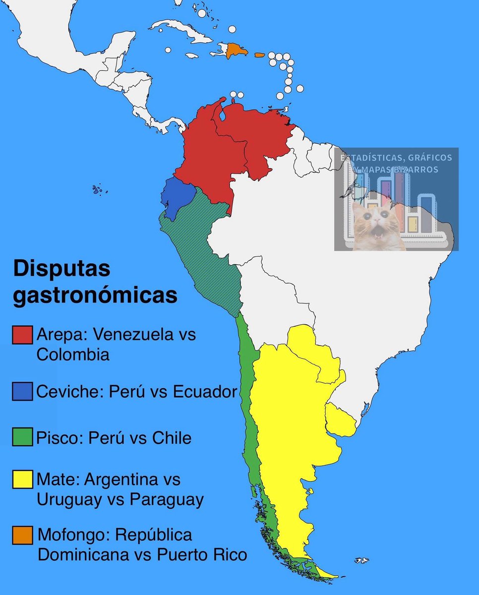 BowTiedMara tweet media