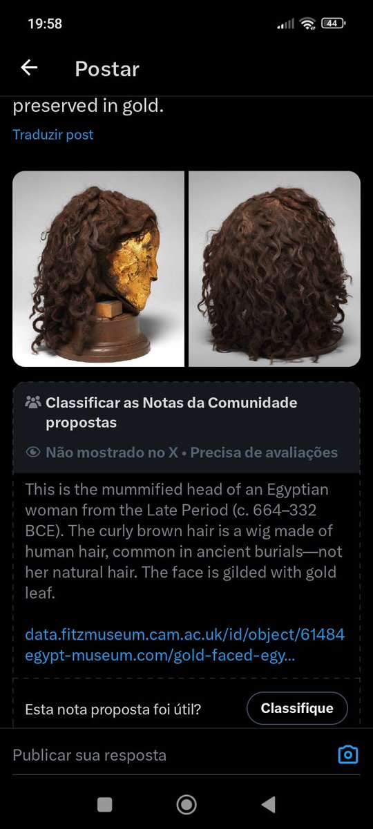 juno ♅ jurídicolena tweet media