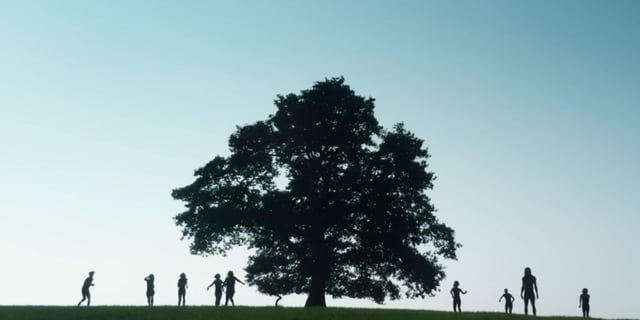 amy zissou tweet media