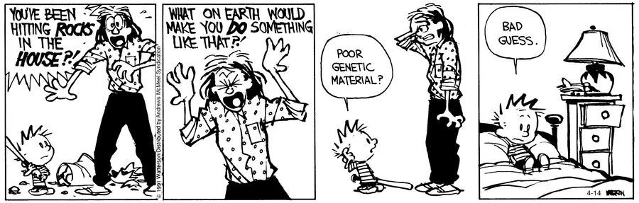 Calvin and Hobbes Fan Account tweet media