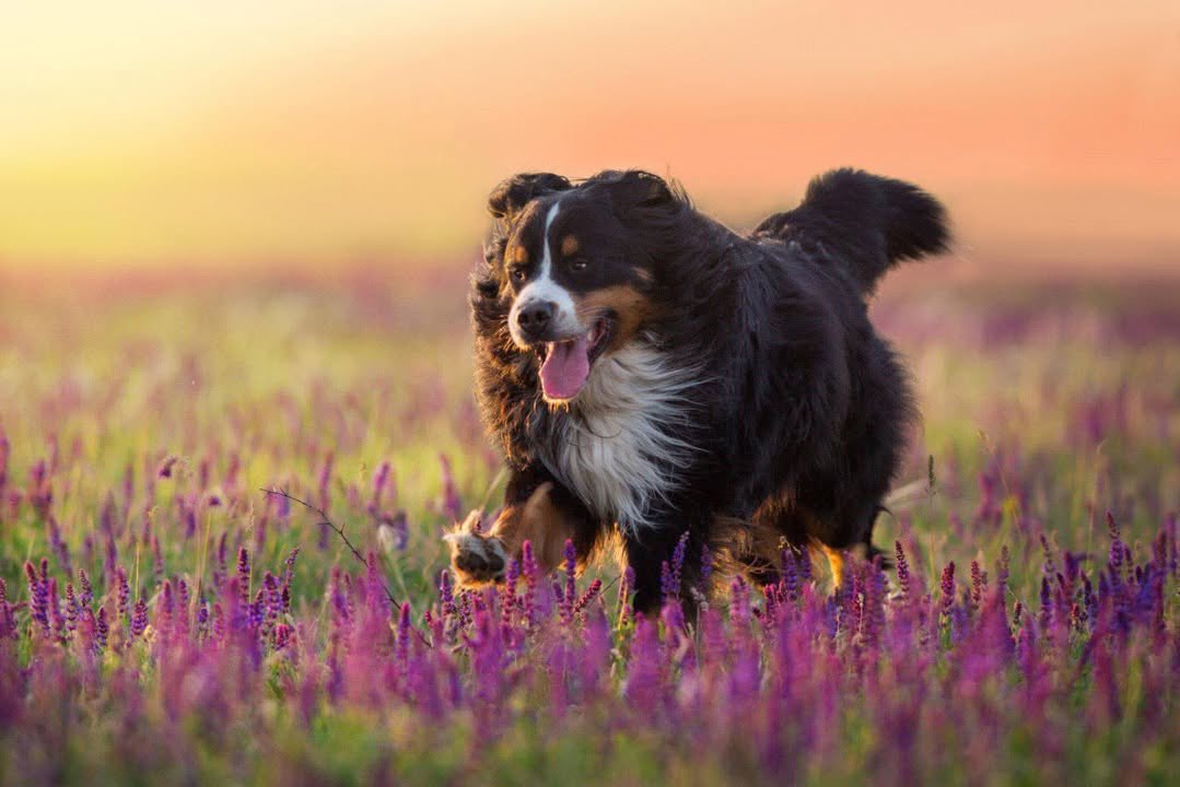 The Weather Channel tweet media