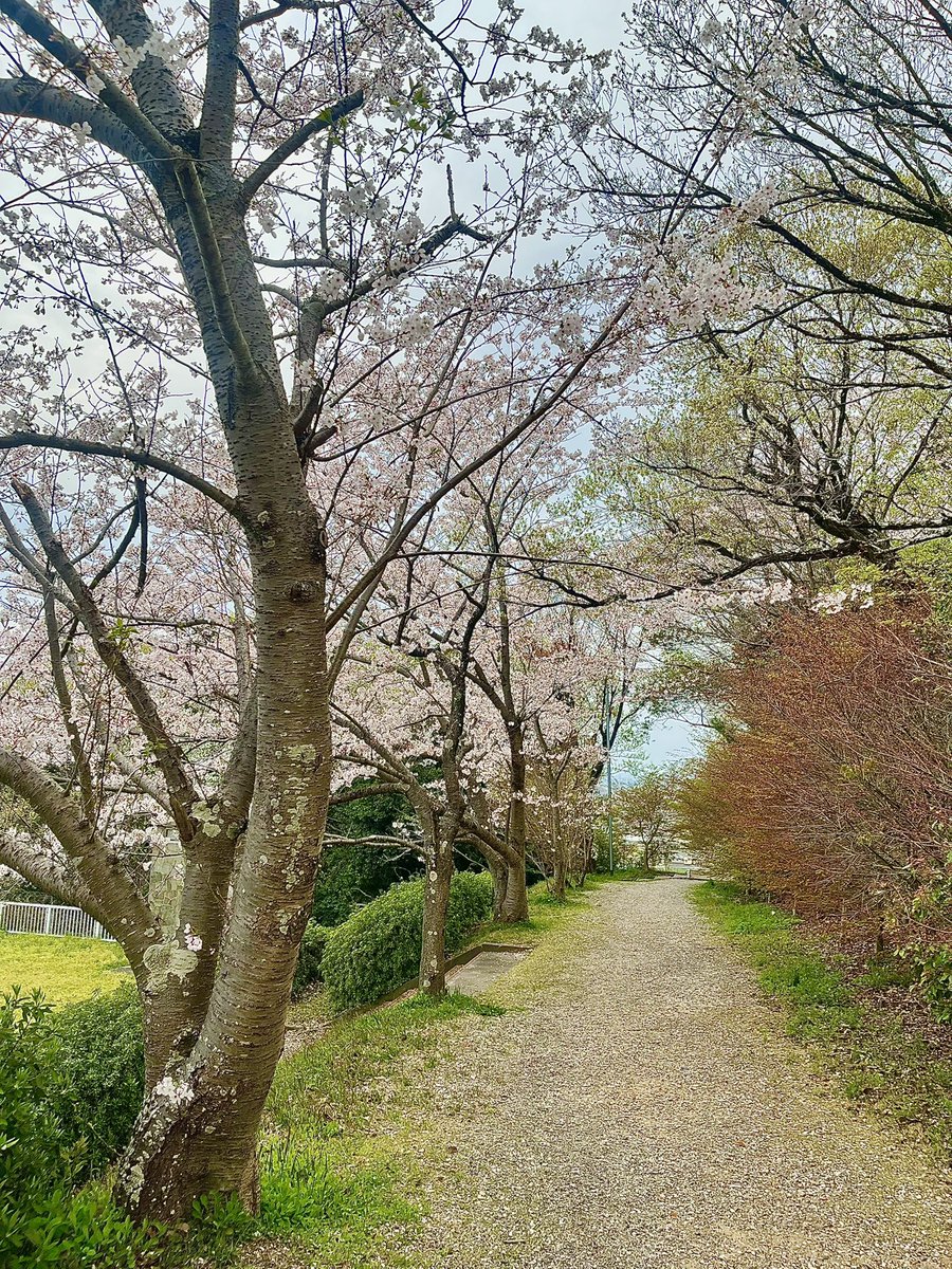 𝙉𝘼𝙍𝙐 ¨̮⃝ tweet media