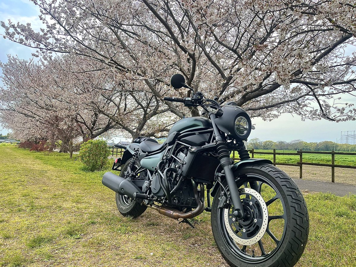 𝙉𝘼𝙍𝙐 ¨̮⃝ tweet media