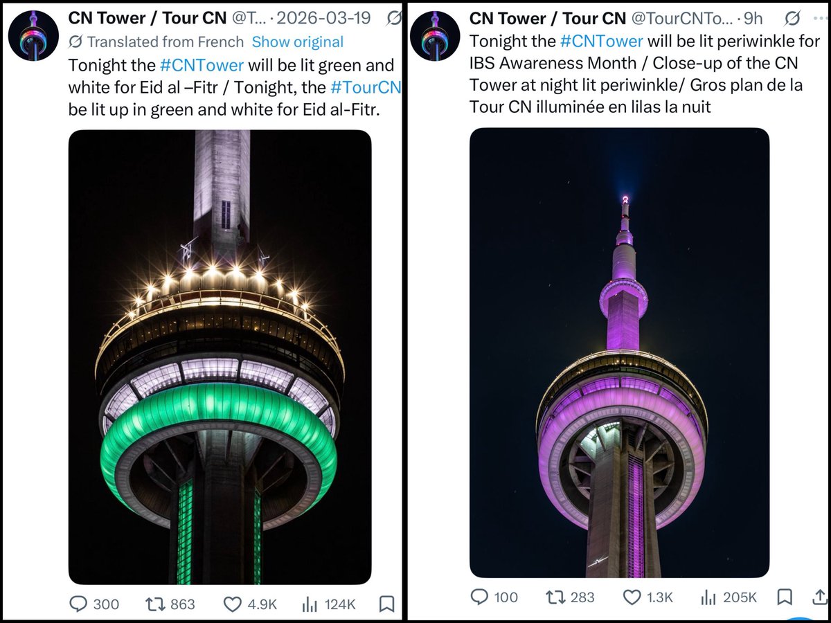 Caт Bee 🪶 tweet media