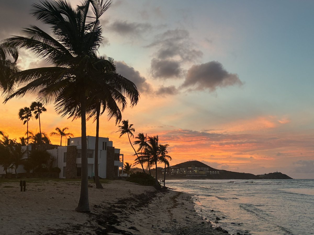 Dominic Pazzula tweet media