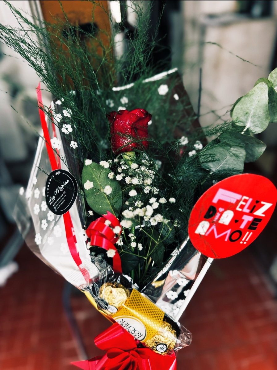 acaso nunca me habían amado?